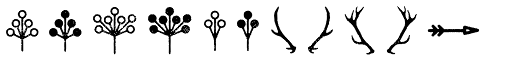 Eveleth Icons font specimen