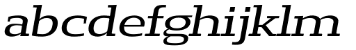 Loka Expanded Oblique character specimen 3