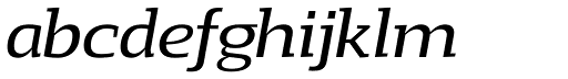 Loka Extended Italic character specimen 3
