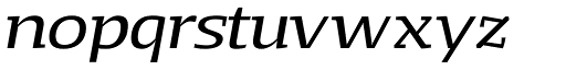 Loka Extended Italic character specimen 4