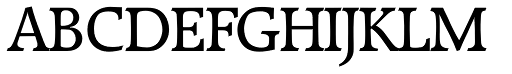 Raleigh Serial Regular font specimen