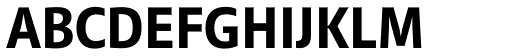 Riga DEMO Bold font specimen